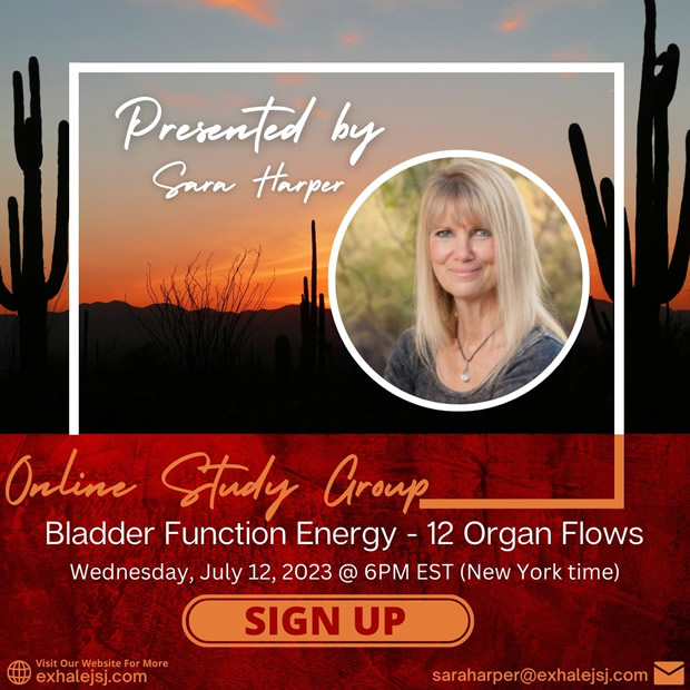 Bladder Function Energy - Online Study Group - The 12 Organ Flows