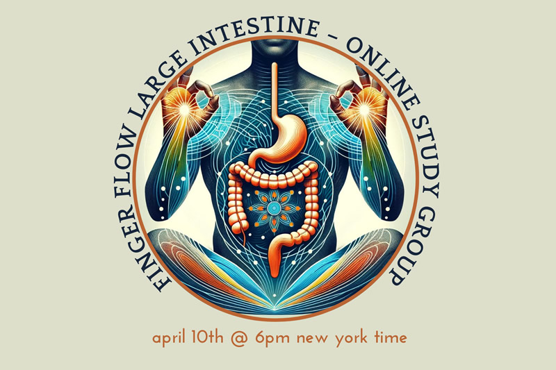 Finger Flow Large Intestine – Online Study Group