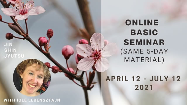 Online Basic Seminar (Same 5-Day Class Material)