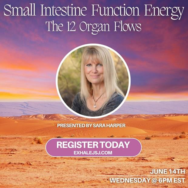 Small Intestine Function Energy - Online Study Group - The 12 Organ Flows - May 3rd (2023)