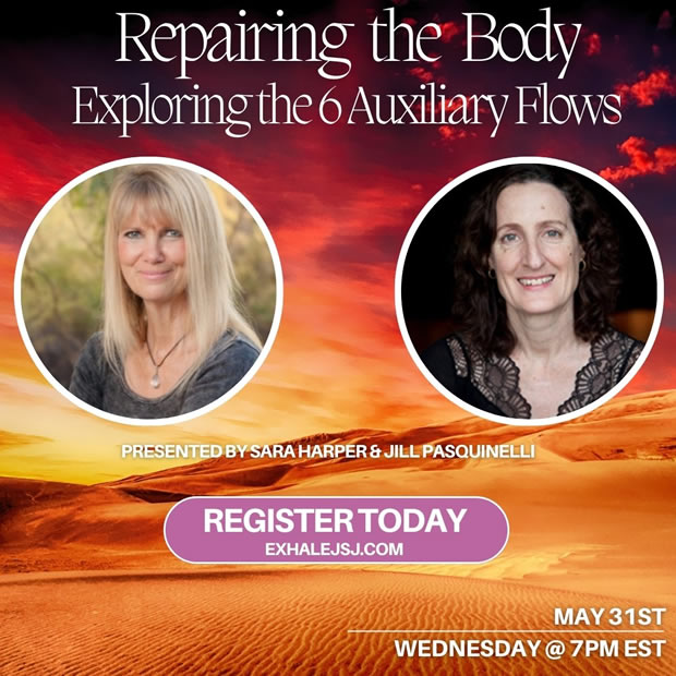 Repairing the Body – Exploring the 6 Auxiliary Flows- Study Group (Part 3)
