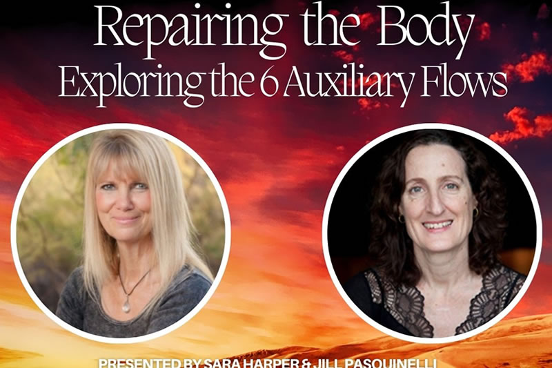 Repairing the Body - Exploring the 6 Auxiliary Flows- Study Group (Part 3)