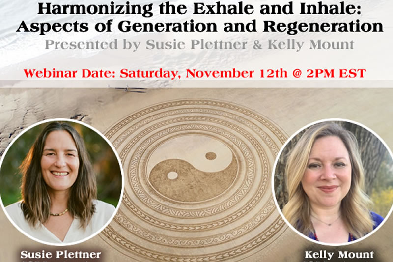 Harmonizing the Exhale and Inhale: Aspects of Generation and Regeneration