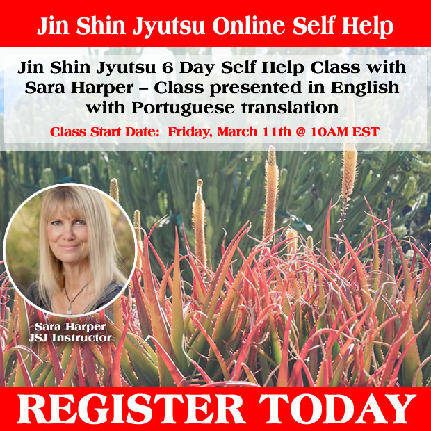 Jin Shin Jyutsu 6 Day Self Help Class with Sara Harper