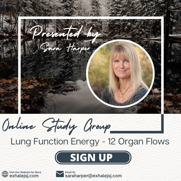 Lung Function Energy – Online Study Group – The 12 Organ Flows